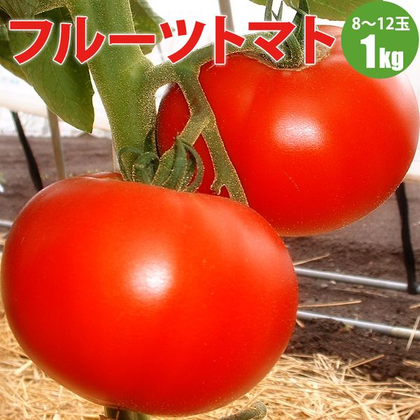 フルーツトマト