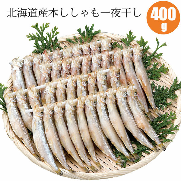 ギフト海産物