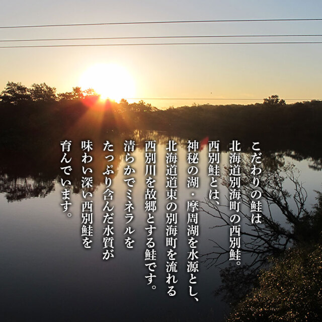 鮭の寒風干し（姿切身） ギフト