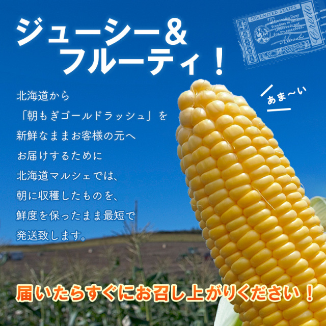 ゴールドラッシュ