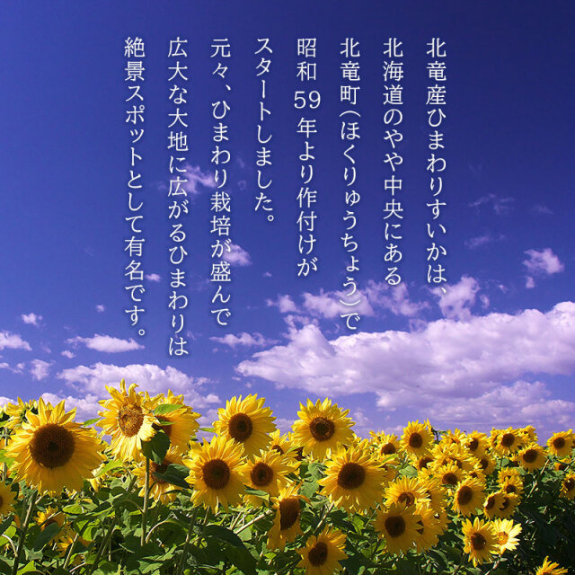 ひまわりスイカ