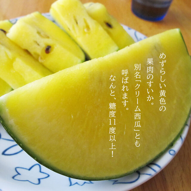 ひまわりすいか＋富良野メロン セット 1.6kg×各1玉【ギフト用】