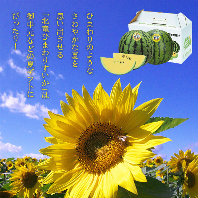 ひまわりスイカ