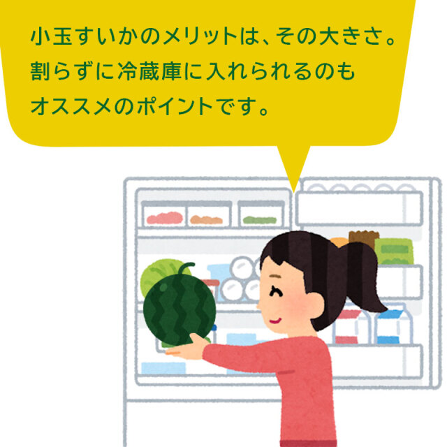 ひまわりスイカ