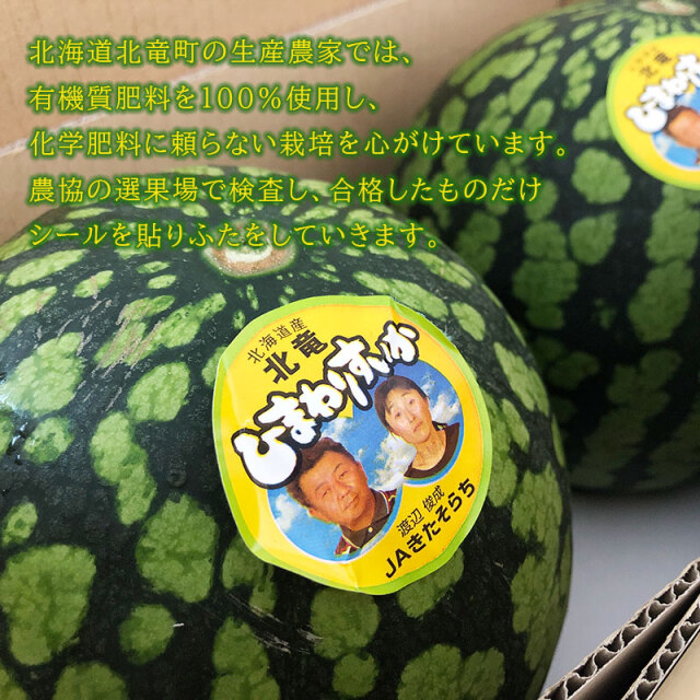 ひまわりスイカ