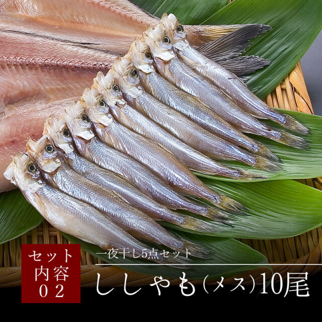 一夜干し5点セット【開きほっけ・ししゃも(メス)・紅鮭・宗八かれい