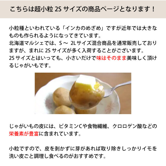 インカのめざめ 超小粒 SSサイズ 北海道産
