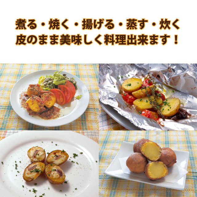 インカのめざめ 超小粒 SSサイズ 北海道産