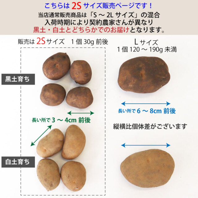 インカのめざめ 超小粒 SSサイズ 北海道産
