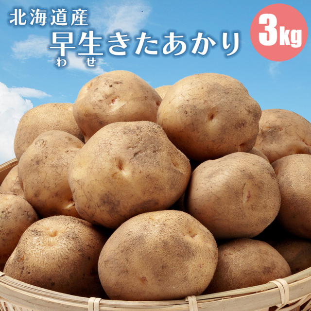きたあかり