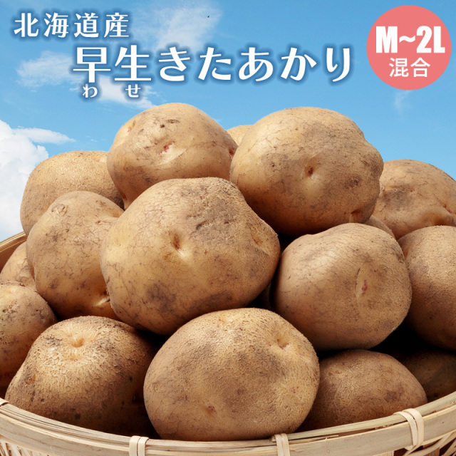 きたあかり
