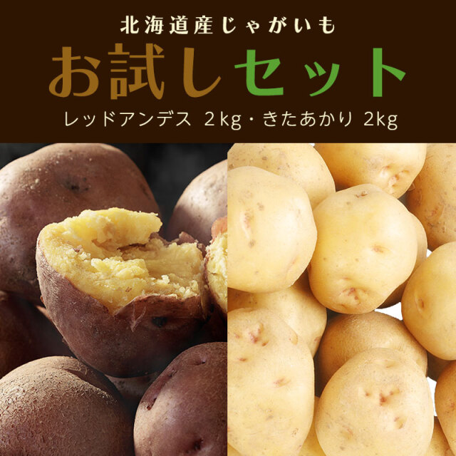 お試しセットB レッドアンデス 2kg きたあかり 2kg