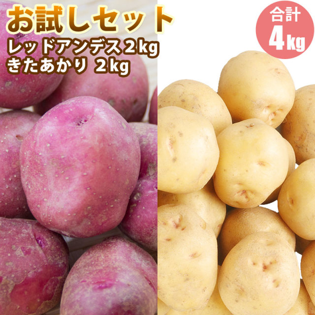お試しセットB （きたあかり2kg・レッドアンデス2kg）