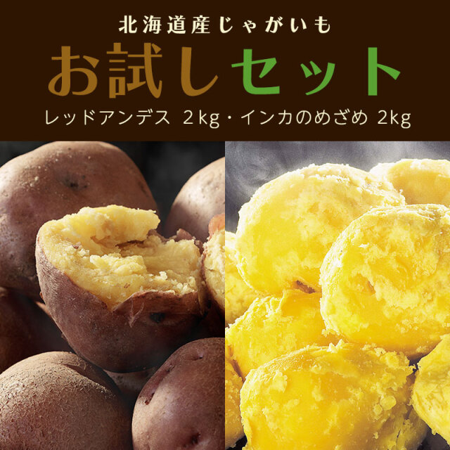 お試しセットC レッドアンデス 2kg インカのめざめ 2kg
