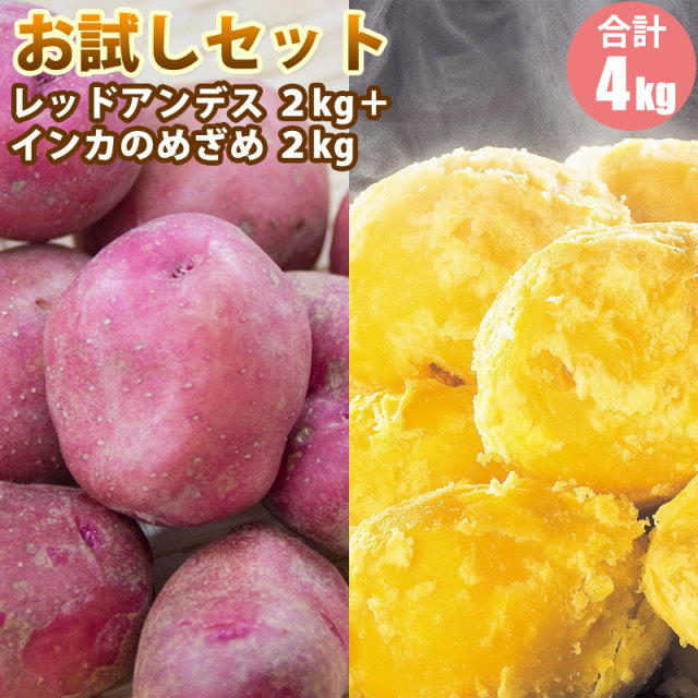 じゃがいもセット