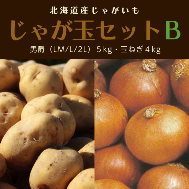 じゃが玉セットB