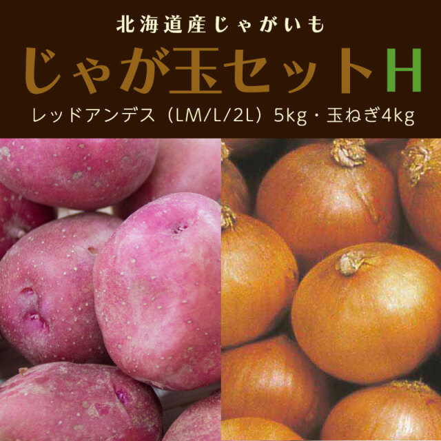 じゃが玉セットH