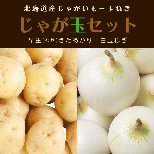 早生きたあかり+白玉ねぎ じゃが玉セット
