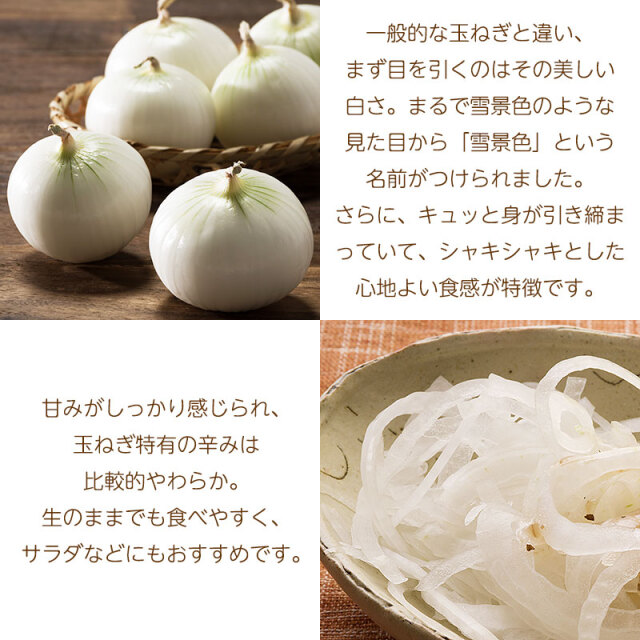 早生きたあかり+白玉ねぎ「雪景色」じゃが玉セット