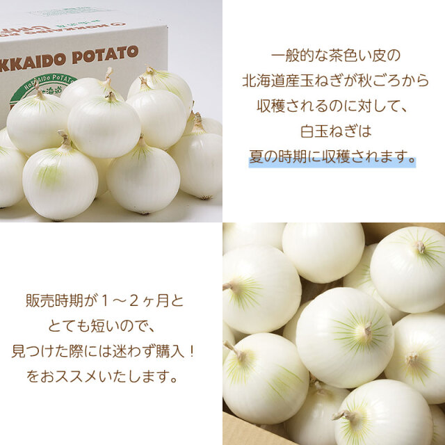 早生きたあかり+白玉ねぎ「雪景色」じゃが玉セット