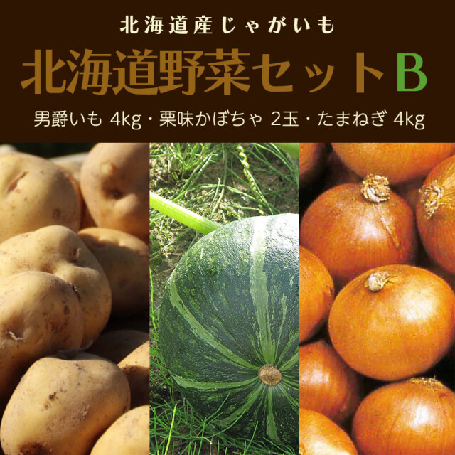 北海道野菜セットB（男爵 4kg 南瓜2玉 玉葱4kg）