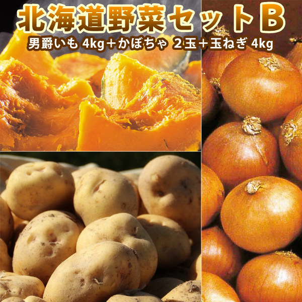 北海道野菜セットC（メークイン 4kg 南瓜2玉 玉葱4kg）