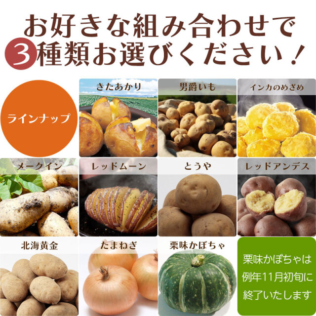 ジャガイモ　玉ねぎ　set販売　08 北海道 野菜 よりどりセット じゃがいも たまねぎ 送料無料