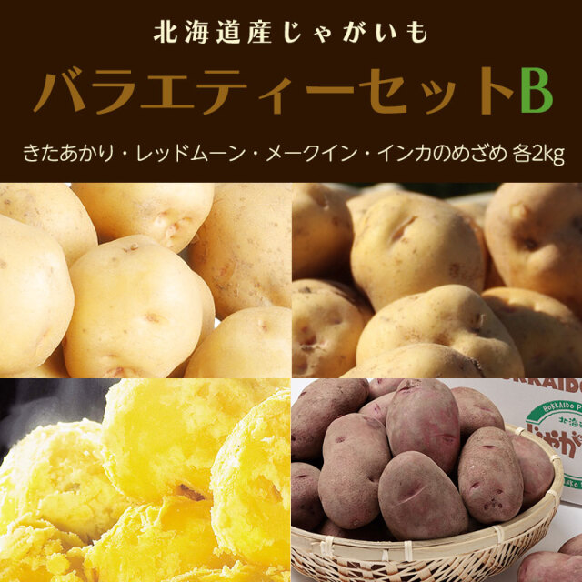じゃがいもバラエティーセットB