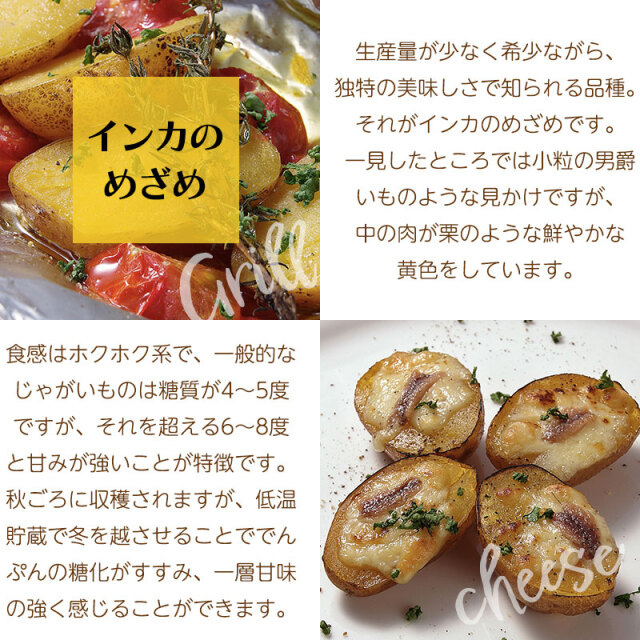 インカのめざめ説明文01