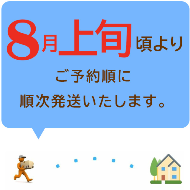 じゃがいも８月上旬発送