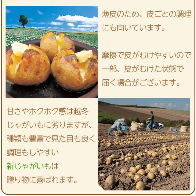 新じゃがいも説明3