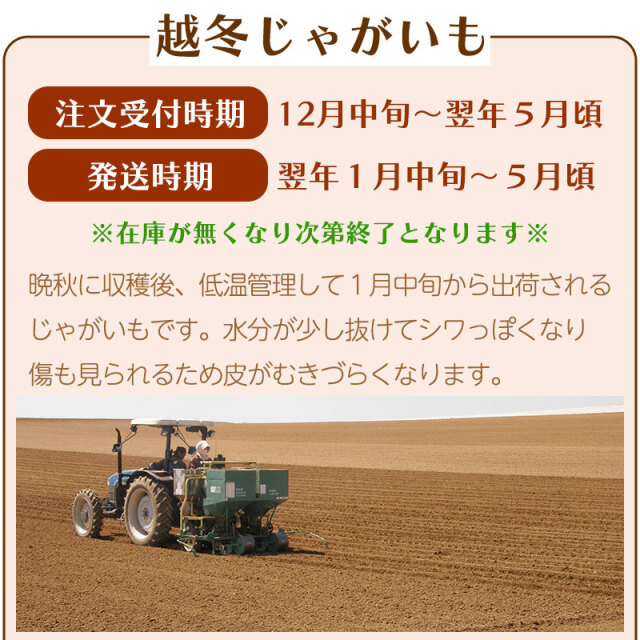 越冬じゃがいも説明