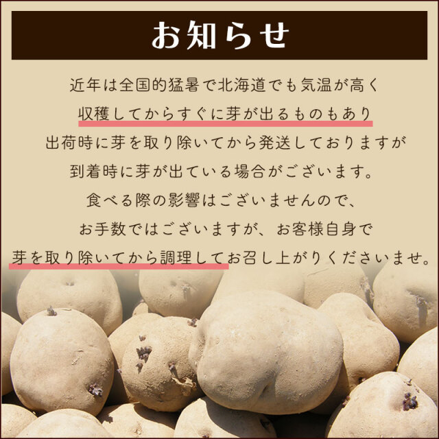 じゃがいもお知らせ