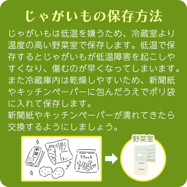 レッドムーン じゃがいも ギフト