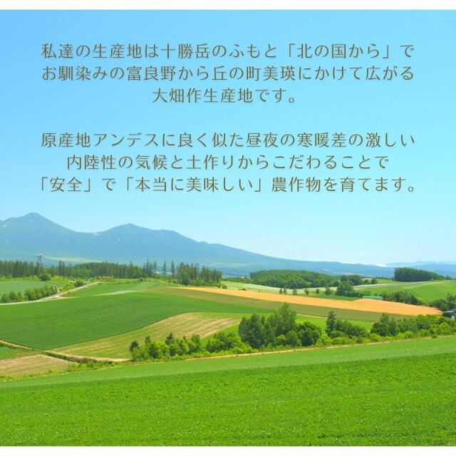 じゃがいもページ2