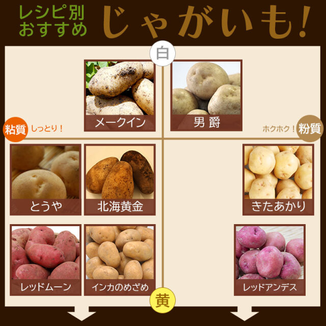 レシピ別おすすめじゃがいも