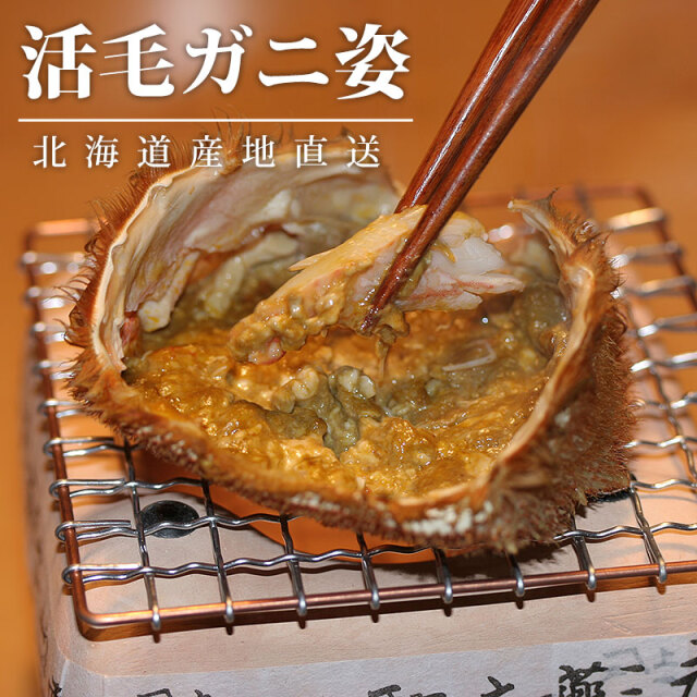 活毛ガニ