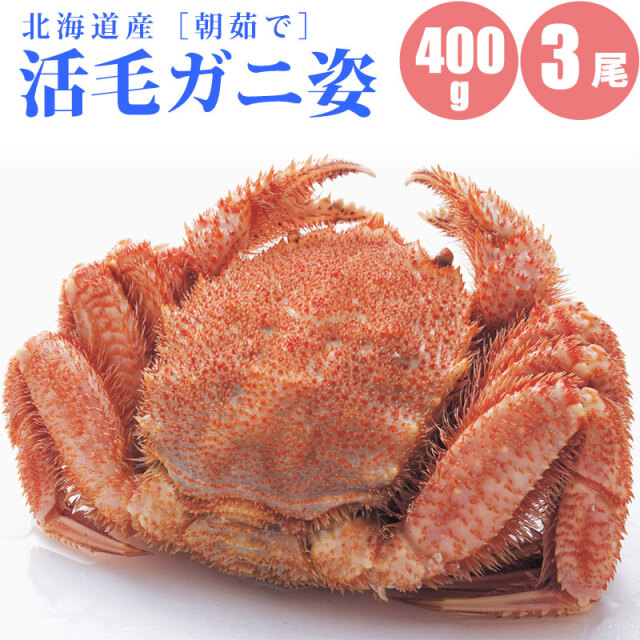 毛ガニ 400g