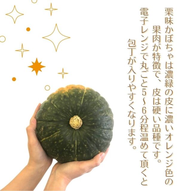 かぼちゃページ4