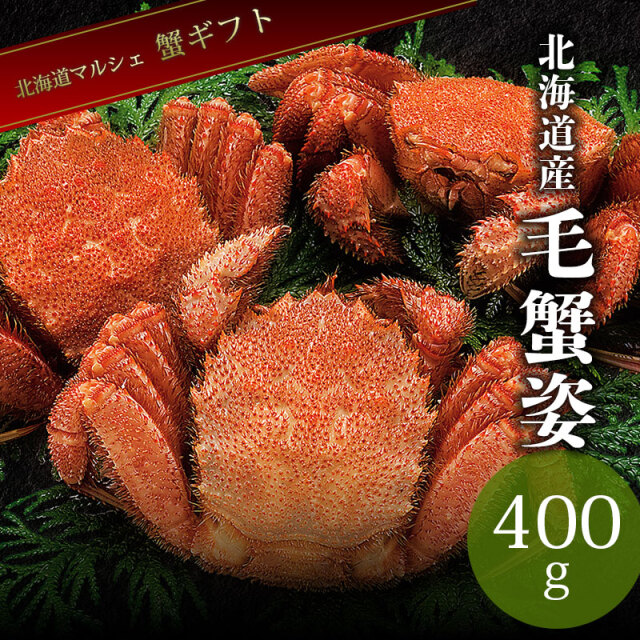 毛蟹姿