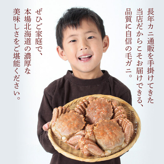 毛ガニ 500g