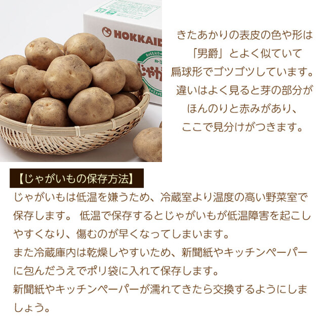 きたあかり説明02