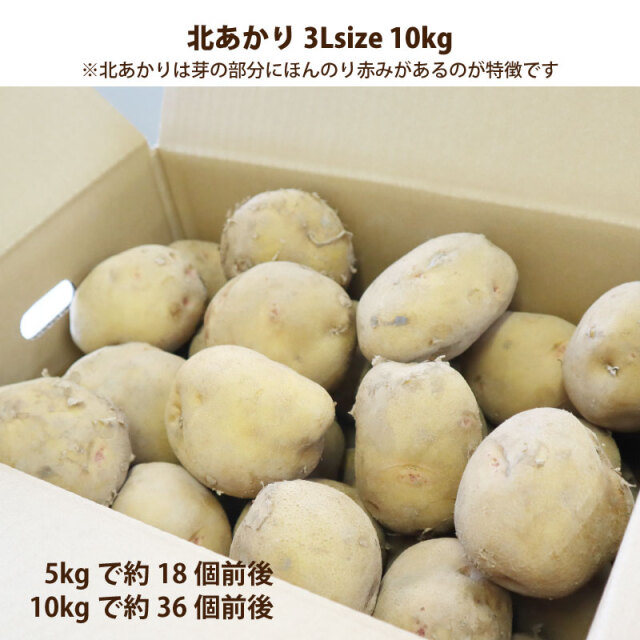 じゃがいも北あかり3Lサイズ