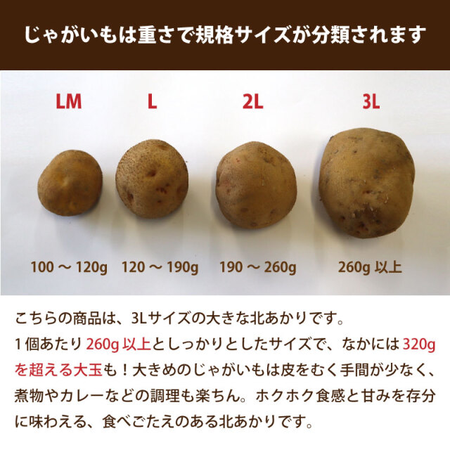 じゃがいも北あかり3Lサイズ