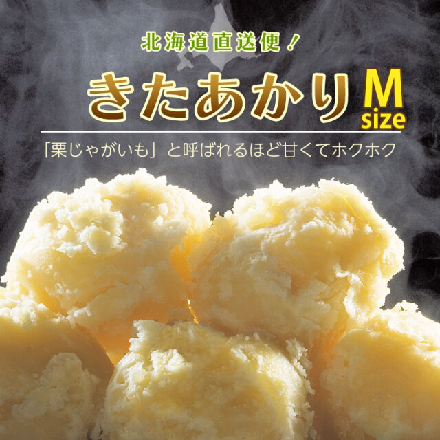 北あかりMサイズ