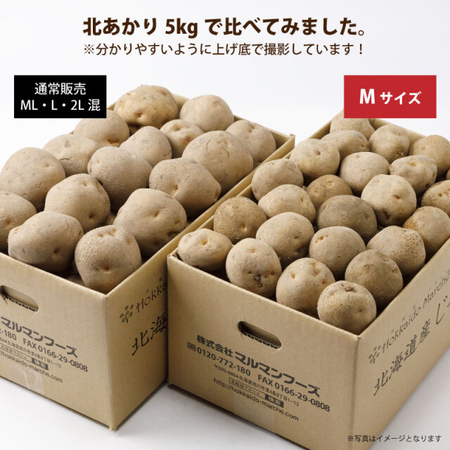 北あかりMサイズ