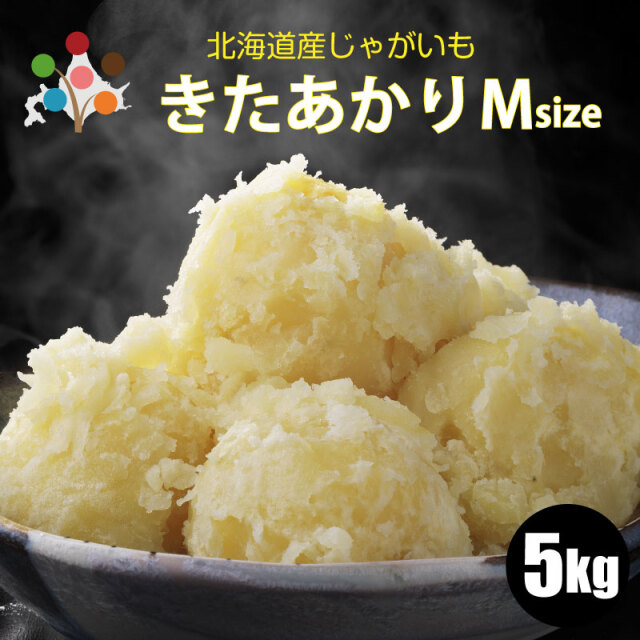 北あかりMサイズ
