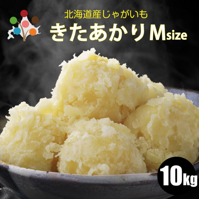 北あかりMサイズ