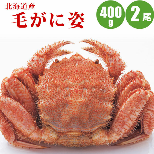 訳あり毛がに　300ｇ～400ｇ前後　５尾入り　毛蟹　北海道　毛ガニ　けがに imgrc0120683676.jpg