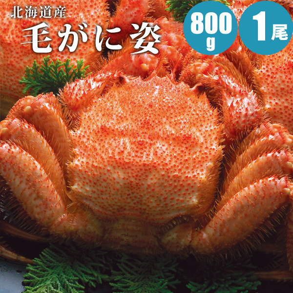 毛蟹　20杯 楽天市場】毛蟹500g×8尾【4kg箱】北海道 毛がに8尾セット
